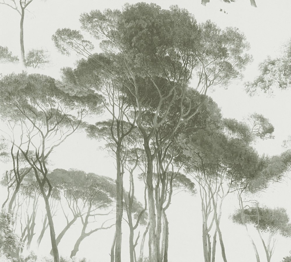 A.S. Création History of Art 37651-2