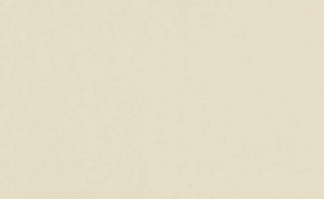 Erismann Instawalls 6342-02