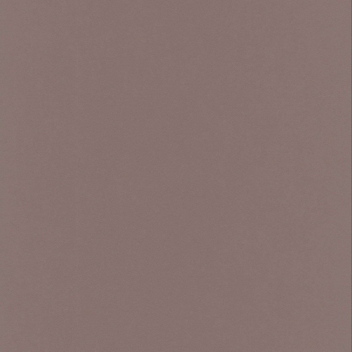Erismann Instawalls 6342-11
