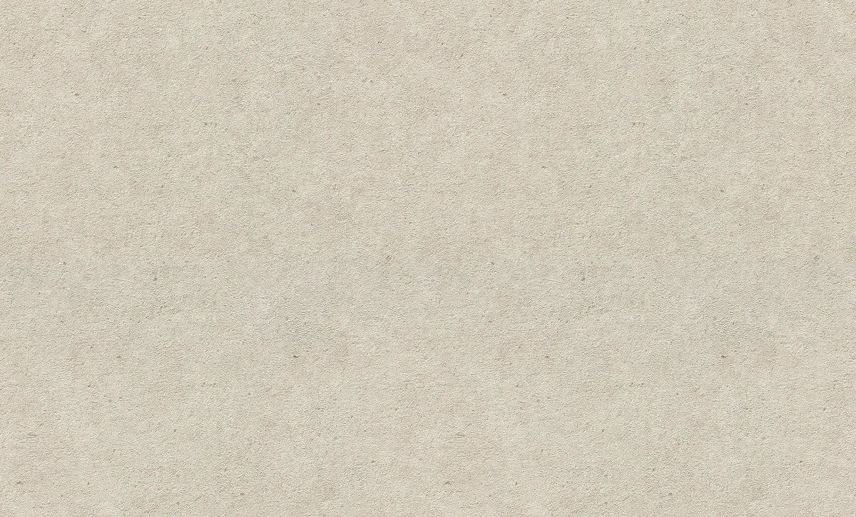 Erismann Fashion for Wolls 5 ( 1.06) 12262-32