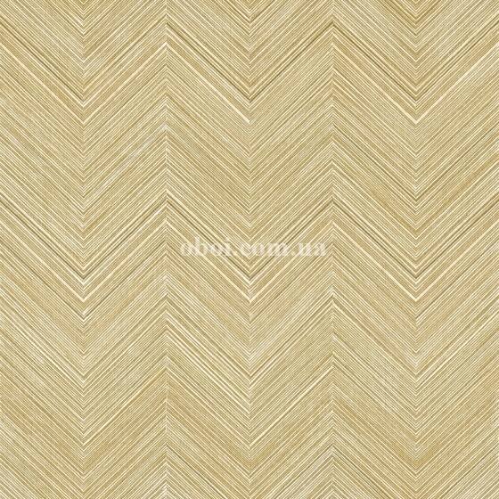 Parato Amazzonia (2023) 22072
