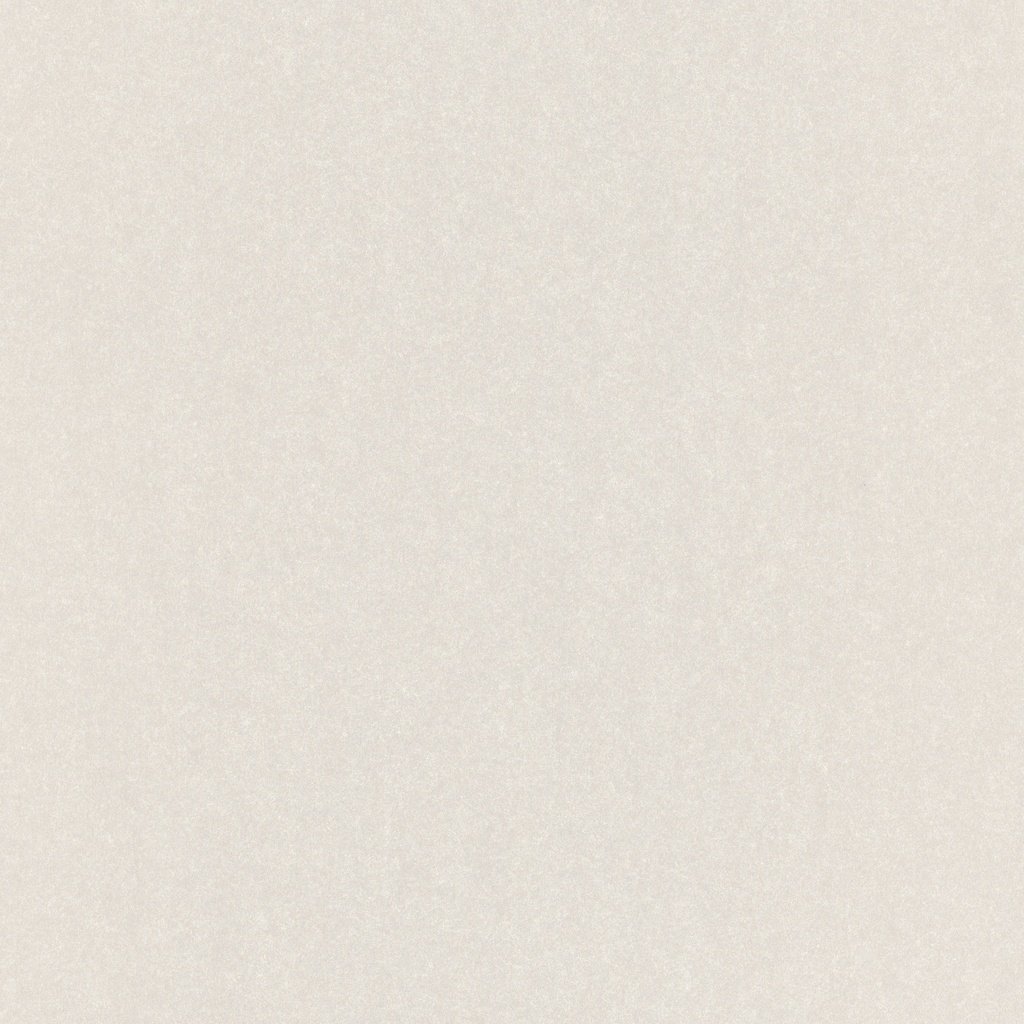 Rasch Emilia (2019) 501117