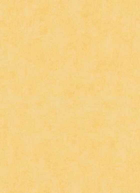 Erismann Prime time 2 6340-03