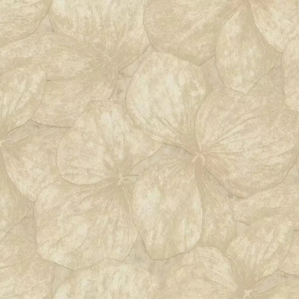 Rasch ANCONA (2029) 944143
