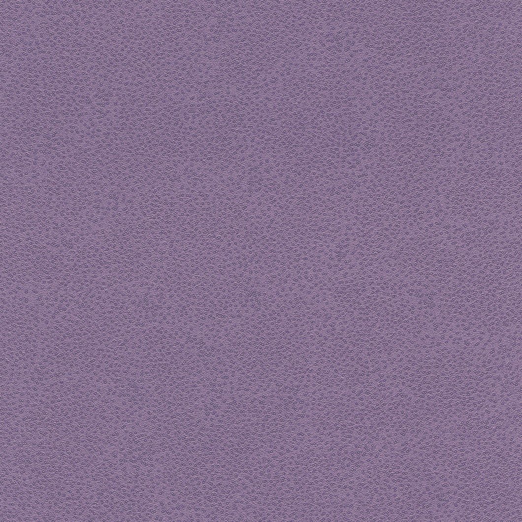 Rasch MIRACLE 421958 Розпродаж