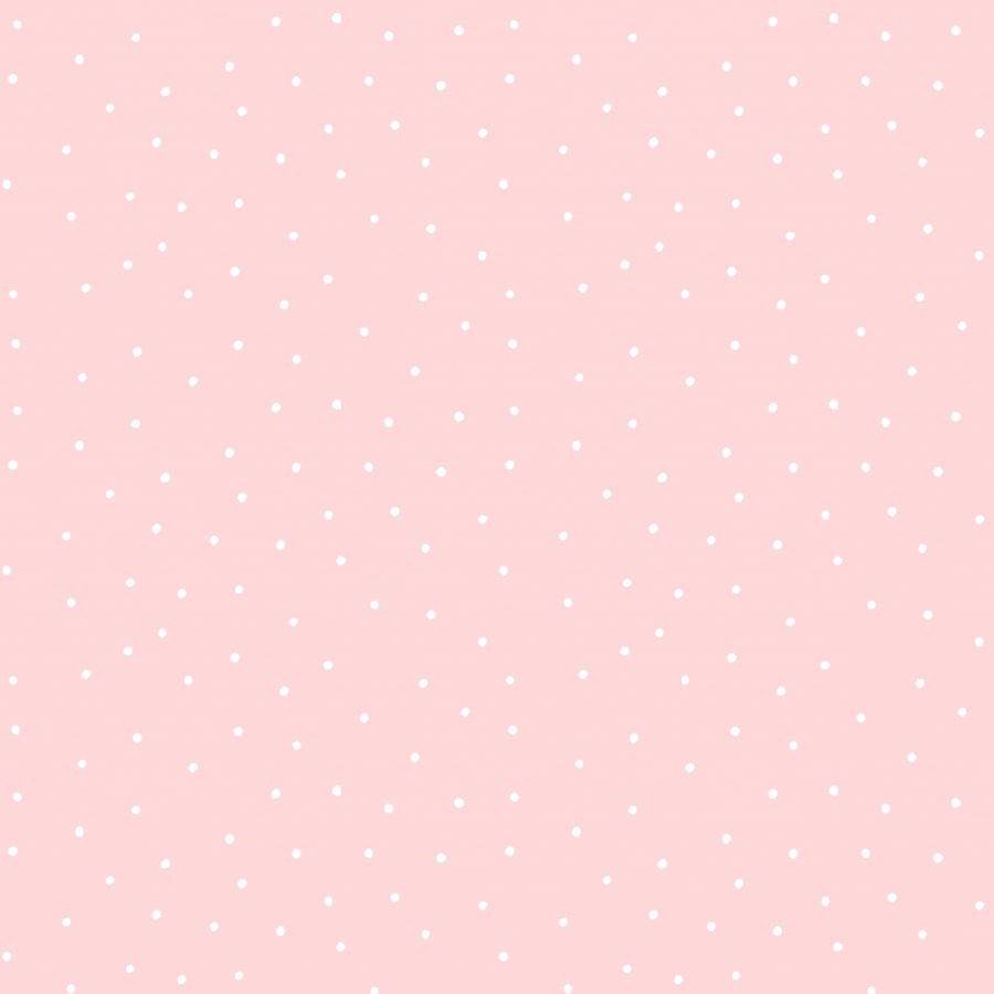 PIPPO 459-2