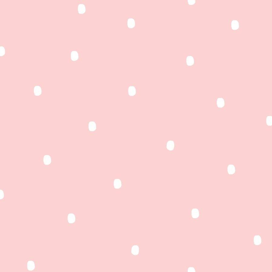PIPPO 460-2
