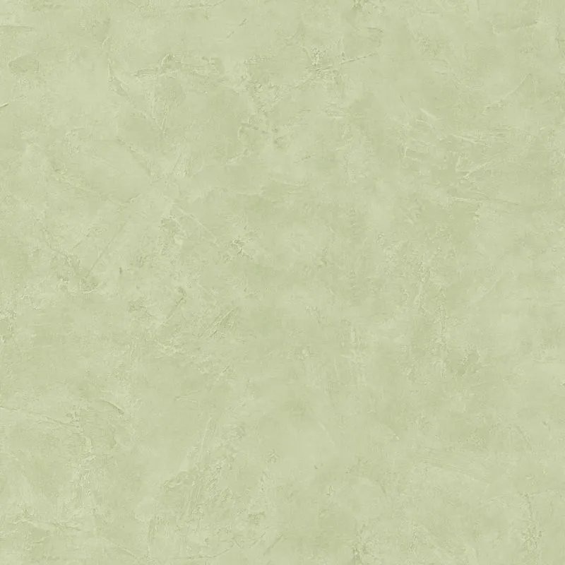 Texdecor Patine штукатурка салат PAI100227690