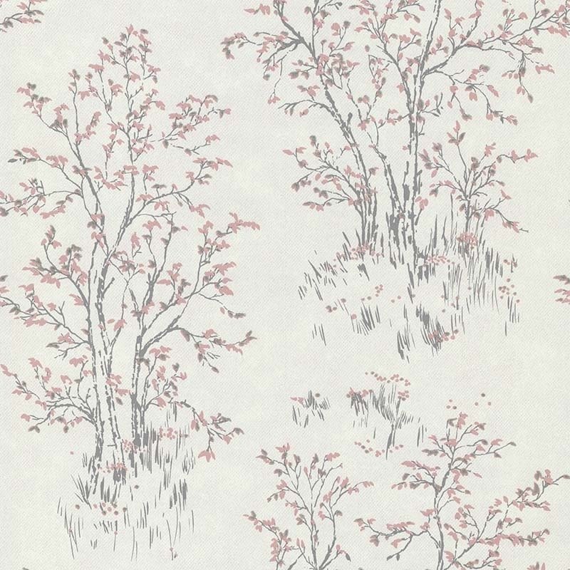 Classigue et Charme 11170903