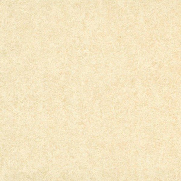 CAMEA 77802