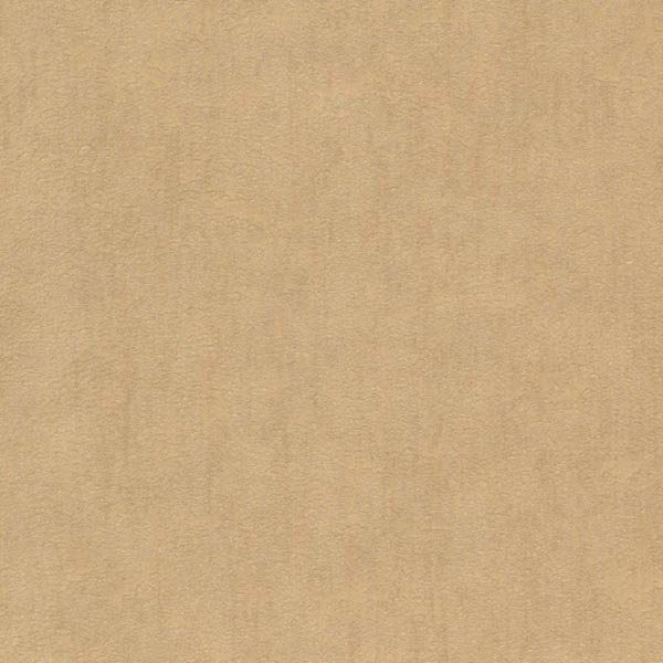 CAMEA 78109