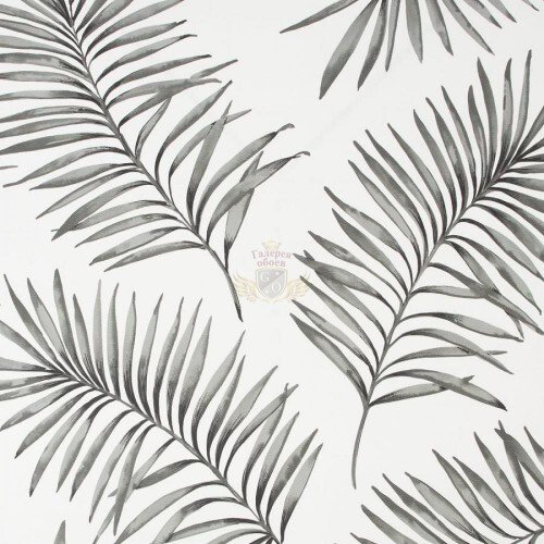 PARADISE 106998
