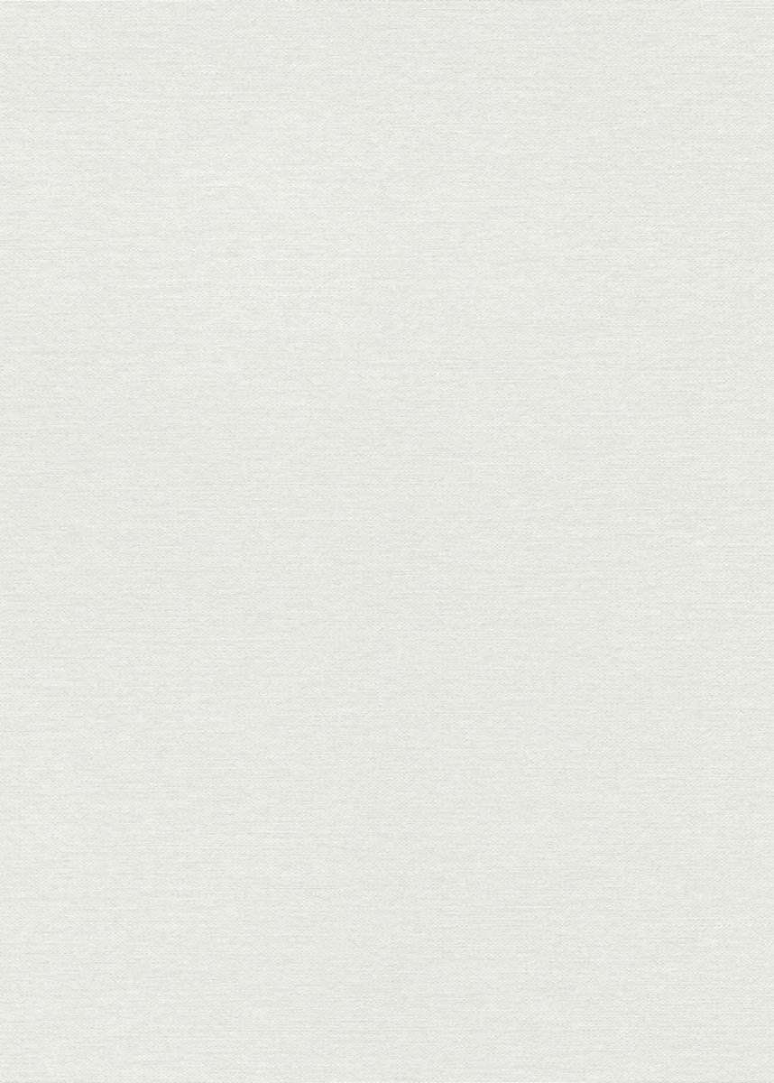 Erismann Fashion for Wolls 5 ( 1.06) 12257-01