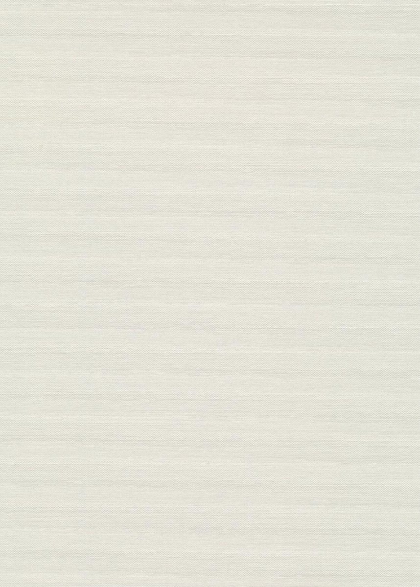 Erismann Fashion for Wolls 5 ( 1.06) 12257-26
