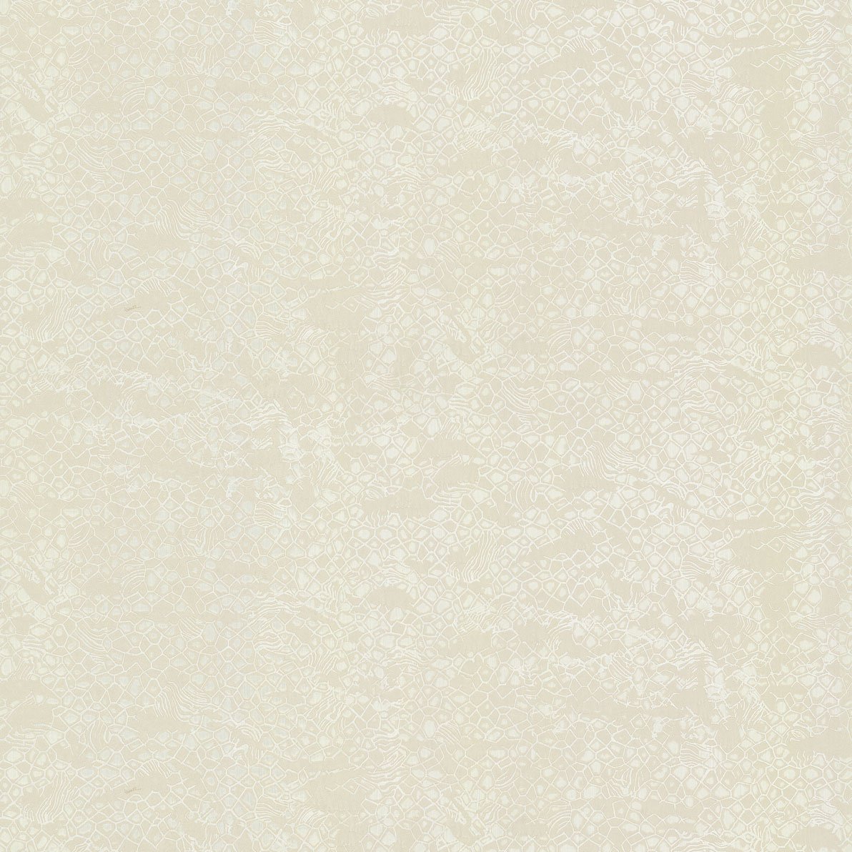 Emiliana ROBERTO CAVALLI 8 (2024) 19037