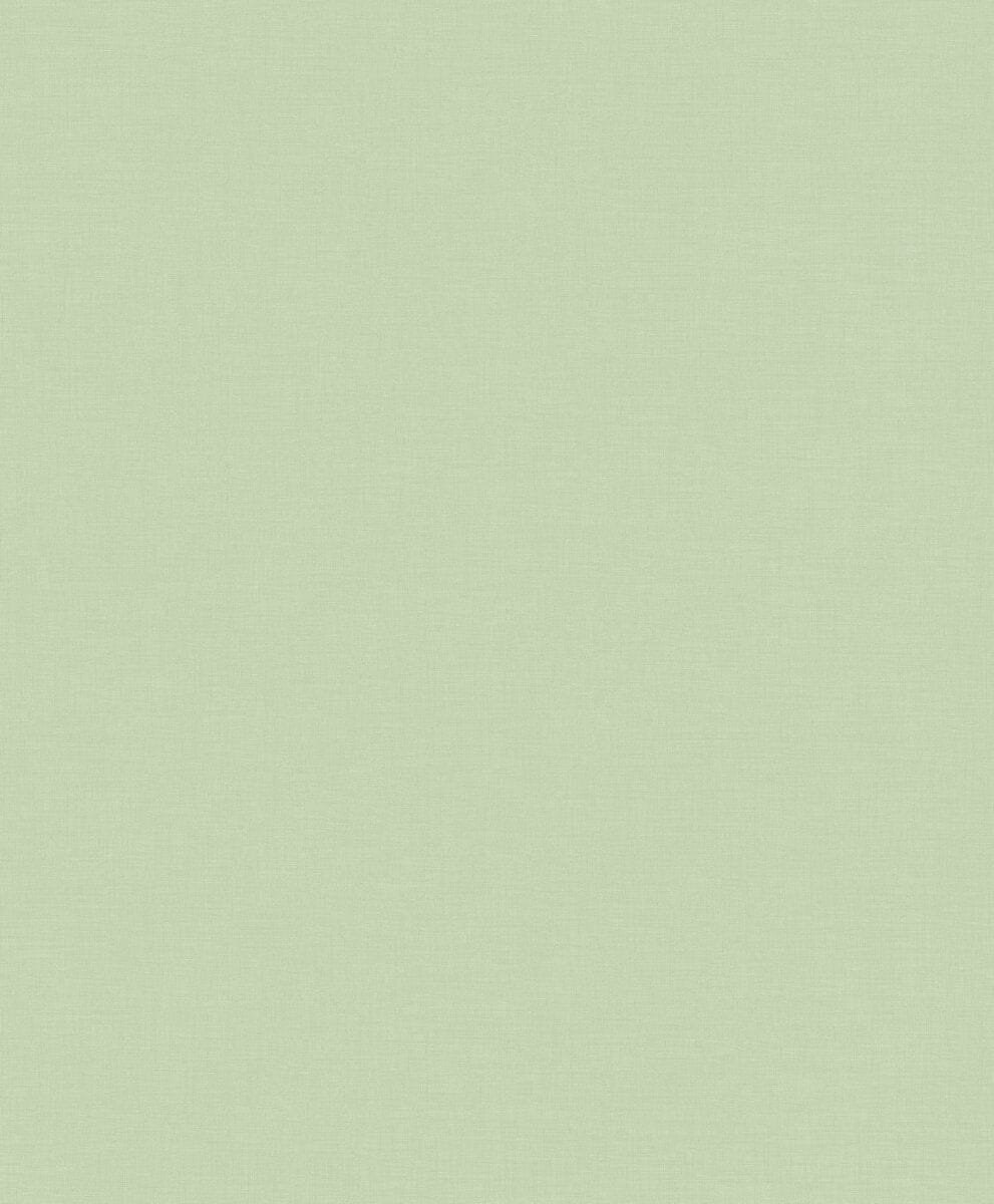 BN DOODLEEDO 0,53 x 10 m (дитячі) 220802