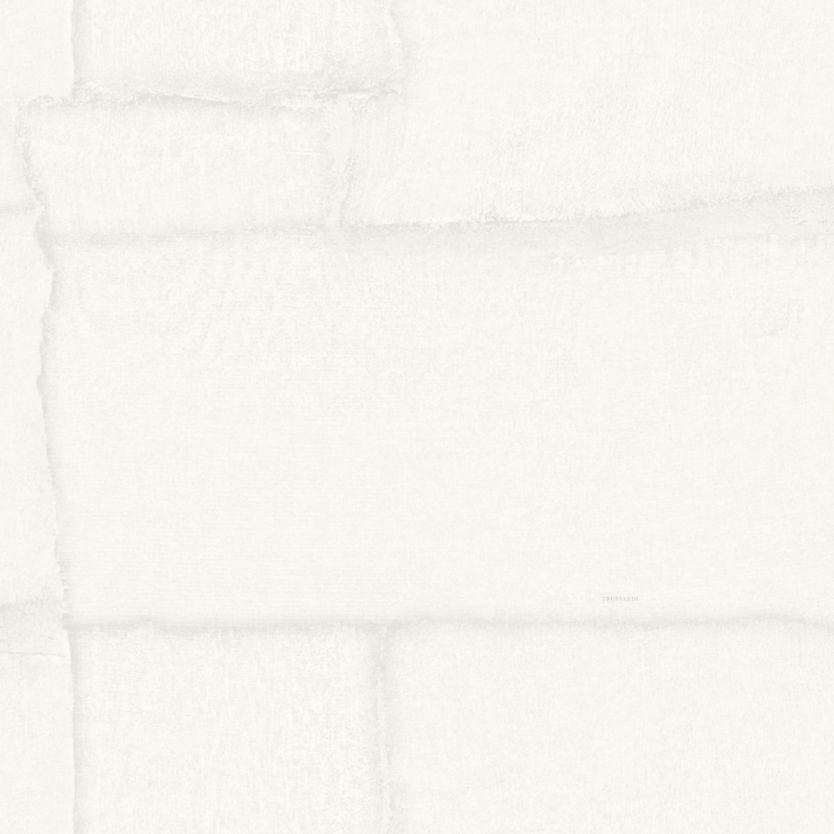 Шпалери Zambaiti Trussardi 8 30302