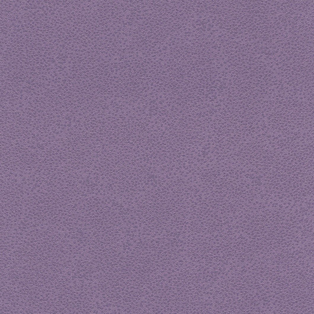 Шпалери Rasch Miracle 421958 Розпродаж