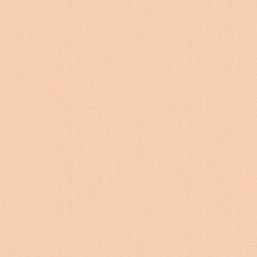 PIPPO 463-6