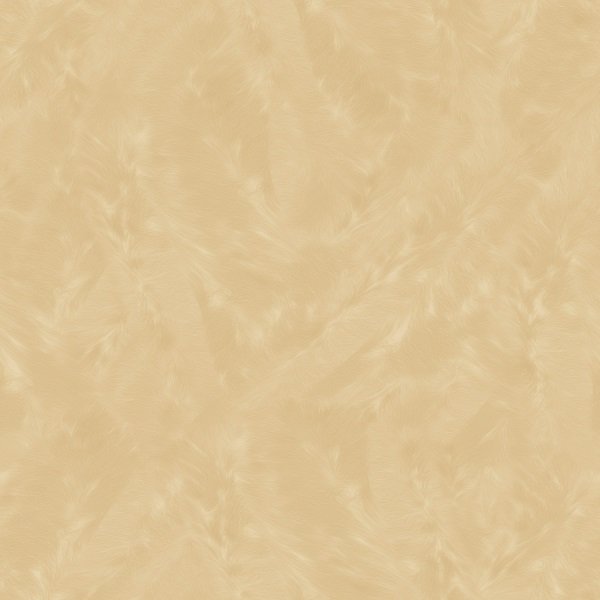 Parato Dimora (2021) 48679