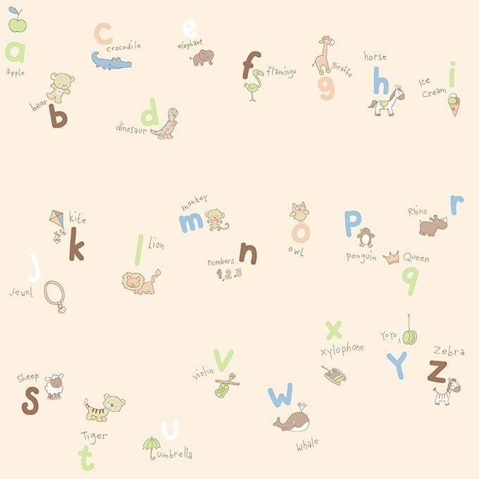 Coconet 562-1