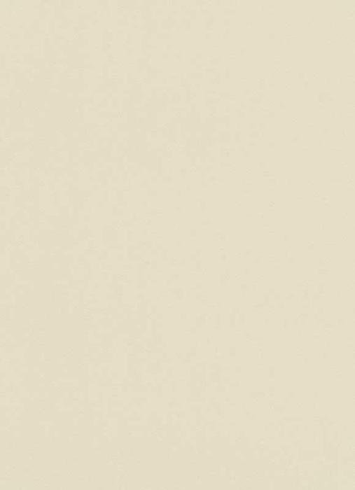 Erismann Instawalls 6342-02