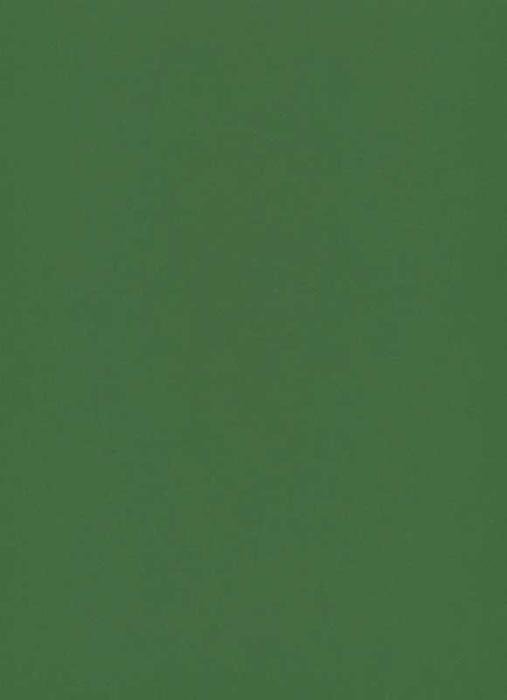 Erismann Instawalls 6342-35