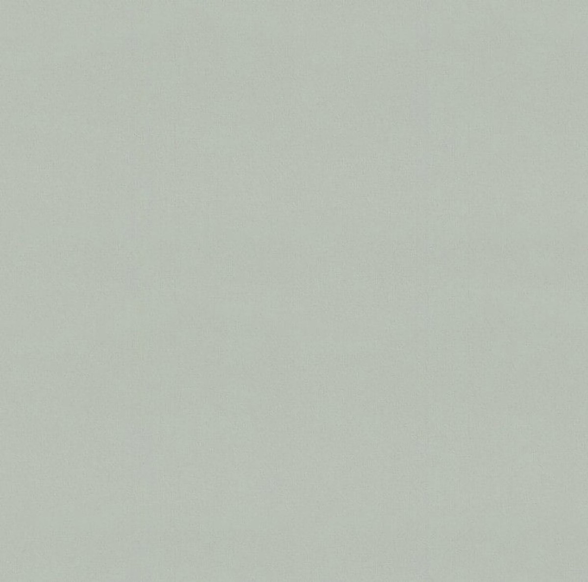 Rasch Freja 897265