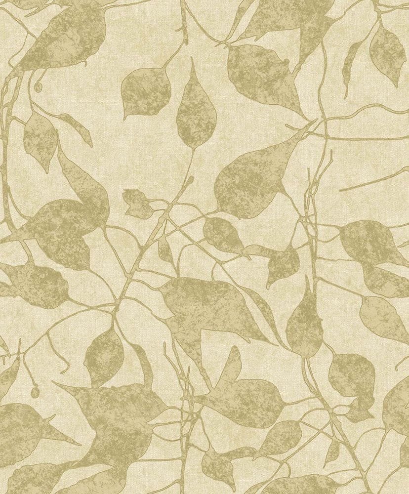 Parato Concetto (2019) 9815
