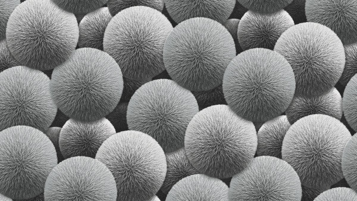 Sintra BUBLE 252628