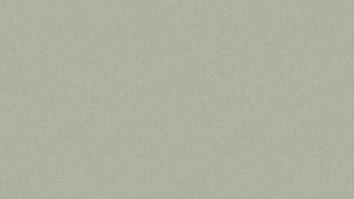 Vinil Evora 460443