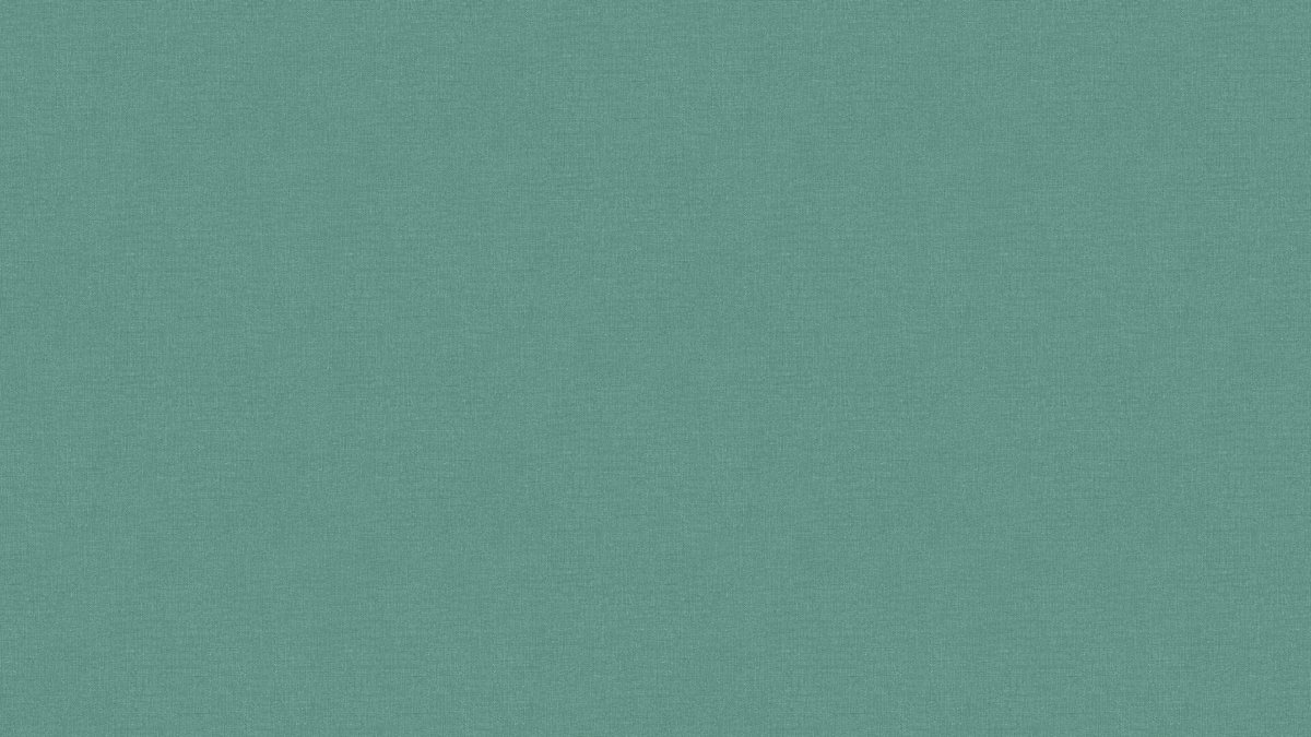 Vinil Evora 460467