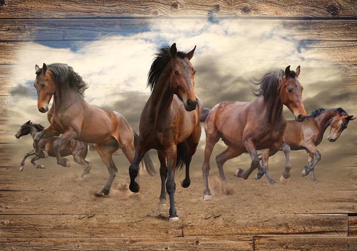 Шпалери Decoart Флізелін 254 x 184 см 10083 - V4