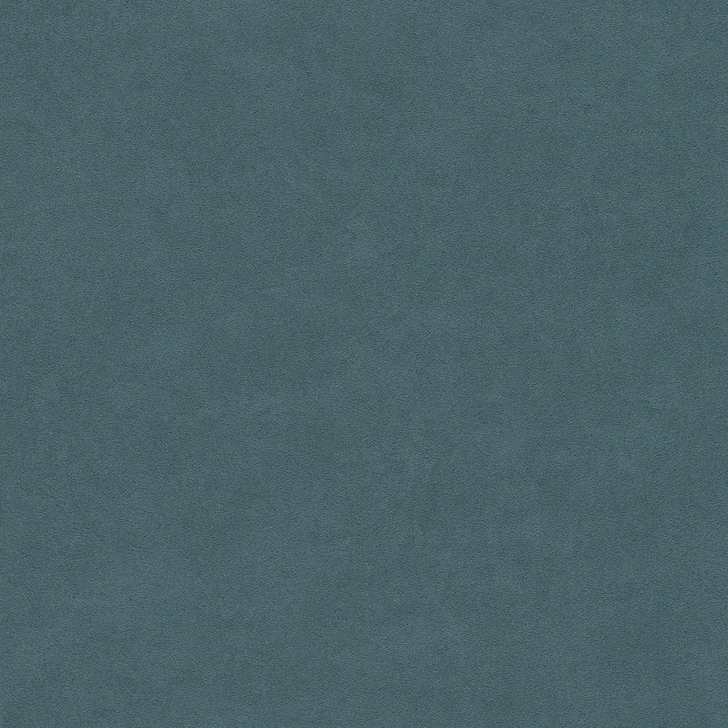 Rasch Selection 485035