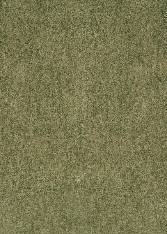 TOSCA 50245