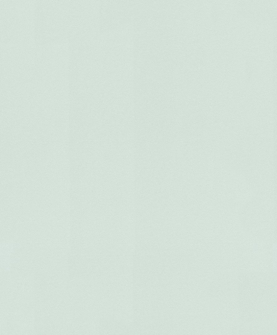 Rasch Selection 806861
