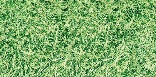 Самоклейна плівка Gekkofix 0,675 м 11565 трава